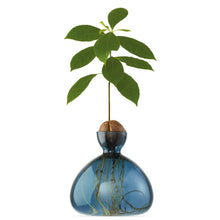 Lade das Bild in den Galerie-Viewer, Avocado Vase - let's plant Avocado