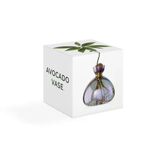 Lade das Bild in den Galerie-Viewer, Avocado Vase - let's plant Avocado