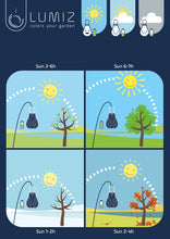 Lade das Bild in den Galerie-Viewer, LED Laterne Paisley lang oval 20 cm in gold