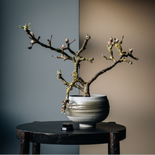 Lade das Bild in den Galerie-Viewer, KENZAN Japanischer Blumenigel rund