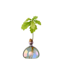 Lade das Bild in den Galerie-Viewer, Acorn Vase - ein guter Zeitpunkt, um Eichen zu pflanzen