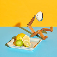 Lade das Bild in den Galerie-Viewer, Mini Mr. Wattson®