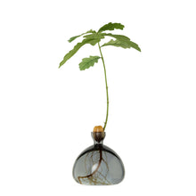 Lade das Bild in den Galerie-Viewer, Acorn Vase - ein guter Zeitpunkt, um Eichen zu pflanzen