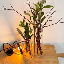 Lade das Bild in den Galerie-Viewer, Labor Vase - mit magnetischer Halterung