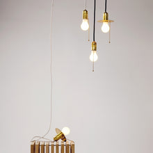 Lade das Bild in den Galerie-Viewer, Goldie-Leuchte
