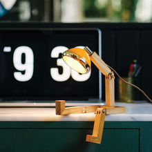 Lade das Bild in den Galerie-Viewer, Mini Mr. Wattson®