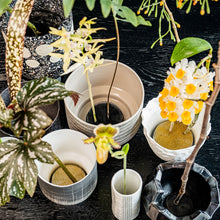Lade das Bild in den Galerie-Viewer, KENZAN Japanischer Blumenigel rund
