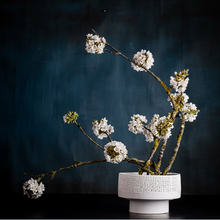 Lade das Bild in den Galerie-Viewer, KENZAN Japanischer Blumenigel rund

