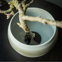 Lade das Bild in den Galerie-Viewer, KENZAN Japanischer Blumenigel rund
