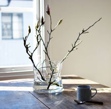 Lade das Bild in den Galerie-Viewer, Sphere Vase - Born in Sweden
